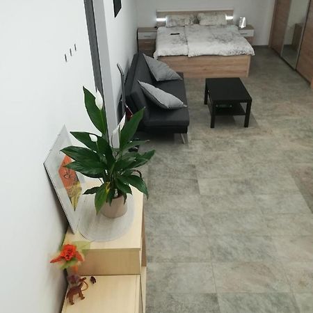 Place Near Casino Mond - Apartma Urska シェンティリ エクステリア 写真